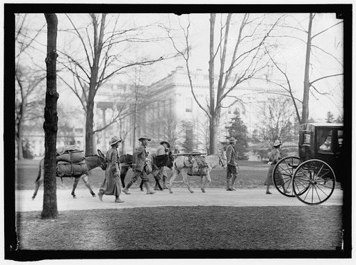 LOS ANGELES HIKERS WHO BROUGHT WHITE PLAGUE CURE TO PRESIDENT WILSON. AT WHITE HOUSE