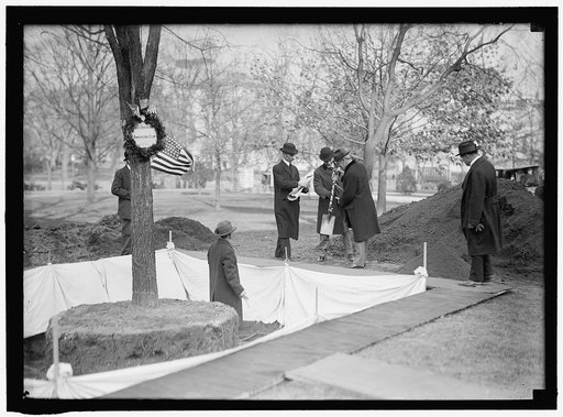 HARTS, WILLIAM W. COL., U.S.A.; MILITARY AIDE TO PRESIDENT WILSON. PLANTING TREE. WILSON