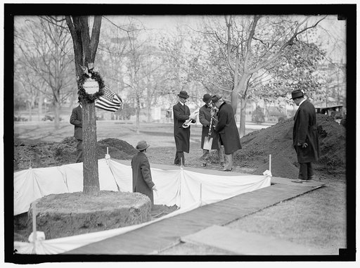 OWEN, F.D. PUBLIC BUILDINGS AND GROUNDS CUSTODIAN OF THE FLAGS. LEFT, PLANTING TREE. PRESIDENT WILSON