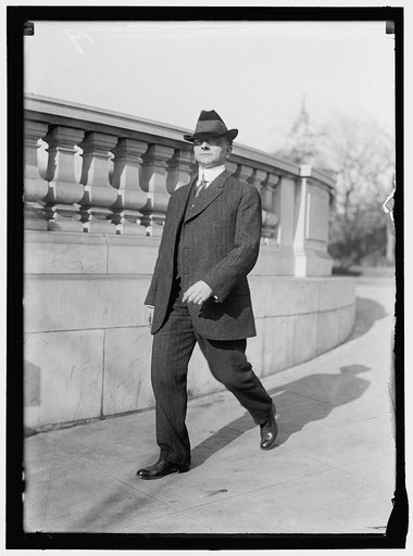 HINEBAUGH, WILLIAM HENRY. REP. FROM ILLINOIS, 1913-1915