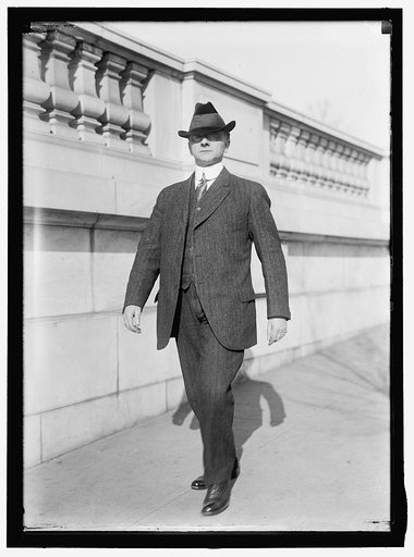 HINEBAUGH, WILLIAM HENRY. REP. FROM ILLINOIS, 1913-1915