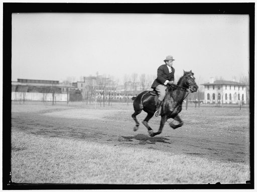 BROWN, WRISLEY. ATTORNEY. RIDING