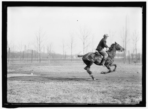 BROWN, WRISLEY. ATTORNEY. RIDING