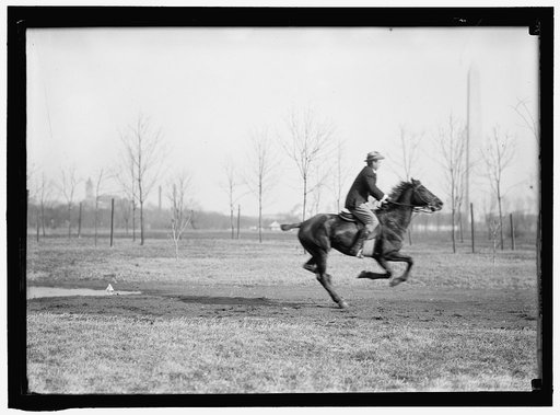 BROWN, WRISLEY. ATTORNEY. RIDING