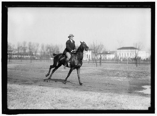 BROWN, WRISLEY, ATTORNEY. RIDING