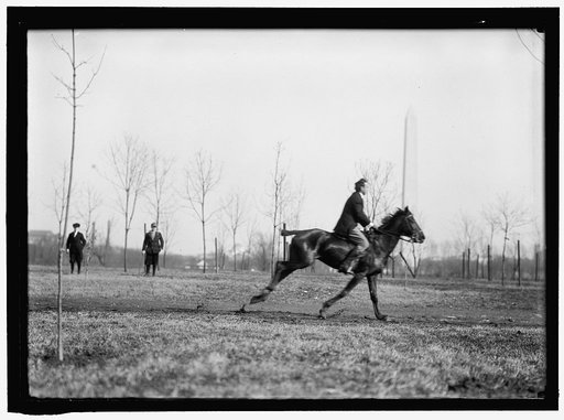 BROWN, WRISLEY, ATTORNEY. RIDING