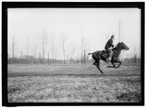 BROWN, WRISLEY, ATTORNEY. RIDING