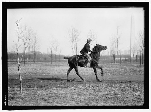 BROWN, WRISLEY, ATTORNEY. RIDING