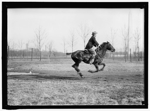 BROWN, WRISLEY, ATTORNEY. RIDING