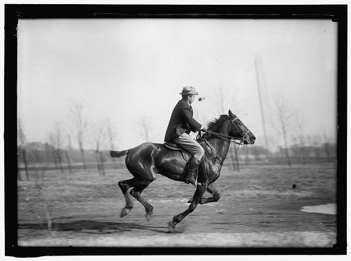 BROWN, WRISLEY, ATTORNEY. RIDING