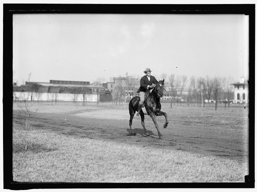 BROWN, WRISLEY, ATTORNEY. RIDING