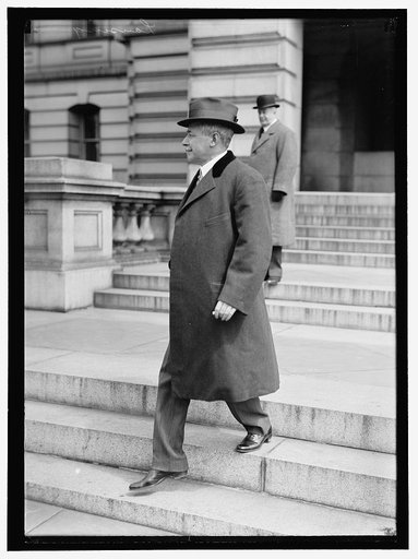 LANSING, ROBERT. SECRETARY OF STATE, 1915-1920