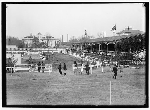 HORSE SHOWS, GENERAL VIEW