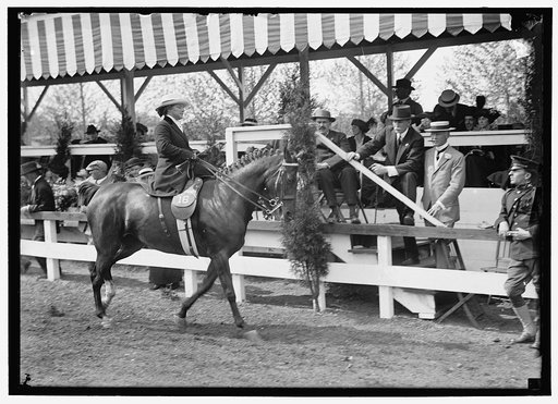 POTTS, MRS. ALAN. HORSE SHOW