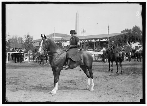 HORSE SHOW