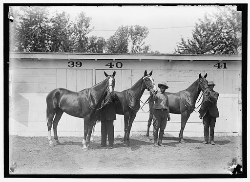 HORSE SHOW