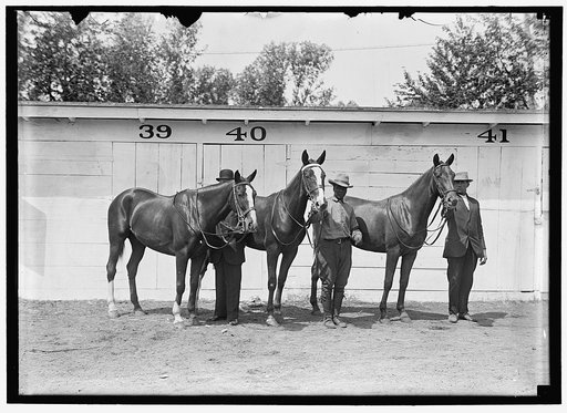 HAZEN, MELVIN C. HORSE SHOW; HIS HORSES
