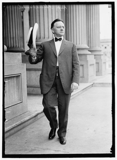 HINEBAUGH, WILLIAM HENRY. REP. FROM ILLINOIS, 1913-1915