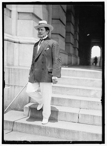 LEWIS, JAMES HAMILTON. REP. FROM WASHINGTON, 1897-1899; SENATOR FROM ILLINOIS, 1913-1919, 1931-