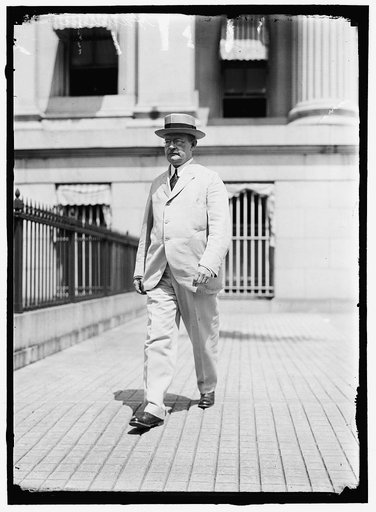 HAMLIN, CHARLES S. ASSISTANT SECRETARY OF THE TREASURY, 1913-