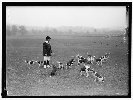 NATIONAL BEAGLE CLUB OF AMERICA. KENNELS AND DOGS OF J.B. THOMAS
