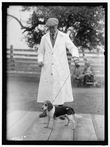 APPLETON, JAMES W. OF IPSWICH, MASSACHUSETTS. NATIONAL BEAGLE CLUB OF AMERICA