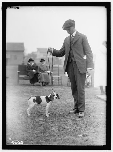 NATIONAL BEAGLE CLUB OF AMERICA. JAMES P. VAN DYKE OF SUNHURY, PA.