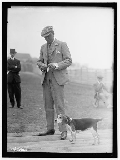 SANDS, D.C., JR., OF MIDDLEBURG, VIRGINIA. NATIONAL BEAGLE CLUB OF AMERICA