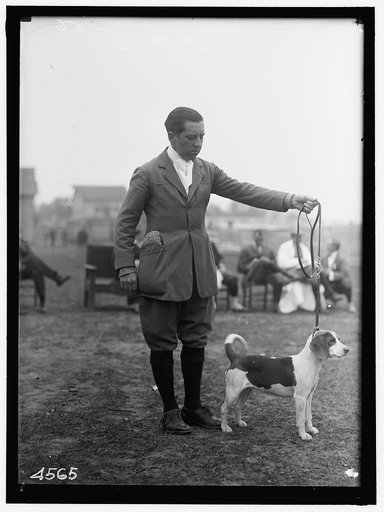 NATIONAL BEAGLE CLUB OF AMERICA. G. MIFFLIN WHARTON