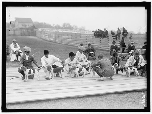 NATIONAL BEAGLE CLUB OF AMERICA. JUDGING DOGS. G. MIFFLIN WHARTON; 3 WHIPS; CHETWOOD SMITH; F.D. STUART; A.S. BURDEN