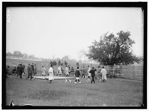 NATIONAL BEAGLE CLUB OF AMERICA. HOUND SHOW