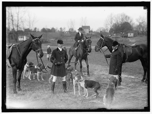 EDGEWOOD HUNT. J.O. EVANS; HOUND SHOW