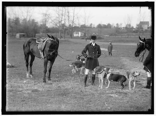 EDGEWOOD HUNT. J.O. EVANS; HOUND SHOW
