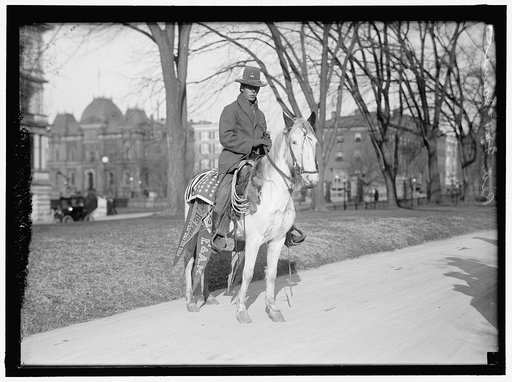 INDIANS, AMERICAN. RED FOX JAMES AT WHITE HOUSE