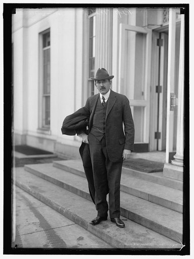 METZ, HERMAN AUGUST, REP. FROM NEW YORK, 1913-1915