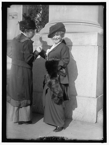 WOMAN SUFFRAGE. MRS. CHRISTIAN HEMMICK