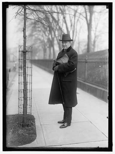 LONERGAN, AUGUSTINE. REP. FROM CONNECTICUT, 1913-1915, 1917-1921