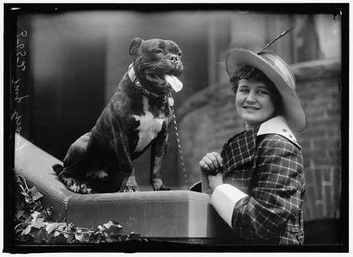 GRACIE, MISS EDITH. DOG SHOW