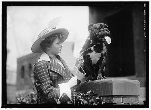 GRACIE, MISS EDITH. DOG SHOW