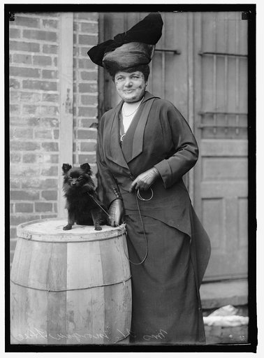 HILL, MRS. H.M. DOG SHOW