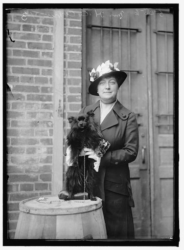 CORBIN, MRS. HENRY C. DOG SHOW