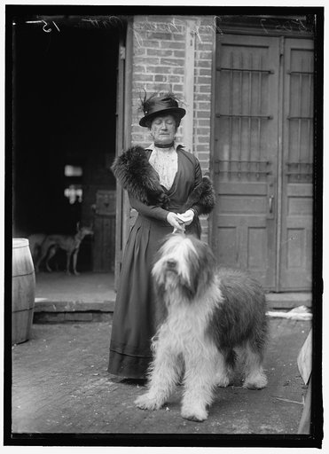 PATTEN, MISS MARY E. DOG SHOW