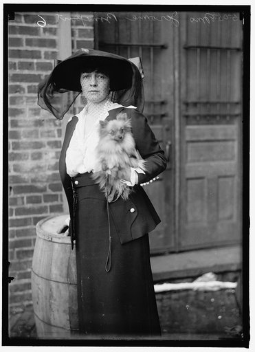 BONAPARTE, MRS. JEROME N. DOG SHOW