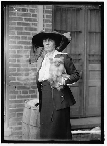 BONAPARTE, MRS. JEROME N. DOG SHOW