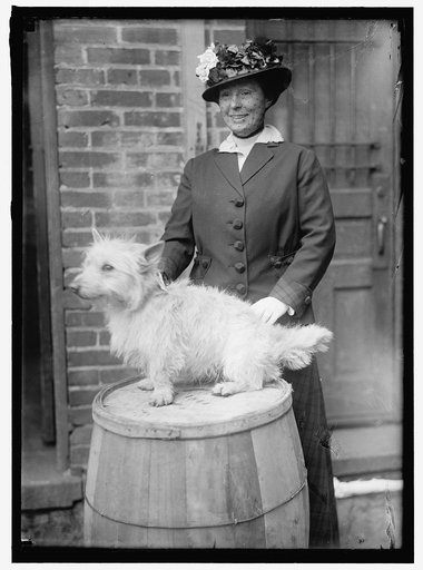 DOG SHOW