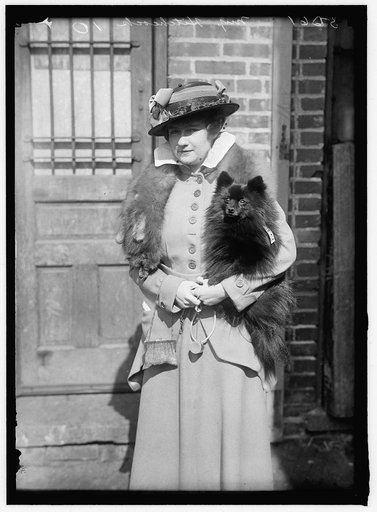HITCHCOCK, MISS R. DOG SHOW