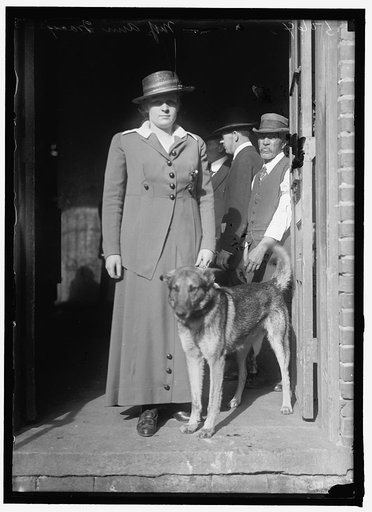 DOG SHOW. MISS ANN TRACY