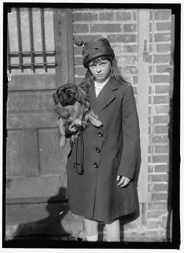 BONAPARTE, BLANCHE STREBRIGH. DOG SHOW