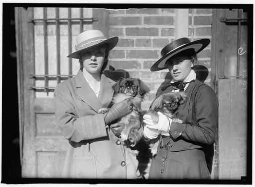 LITTANER, MISS CATHERINE L. DOG SHOW