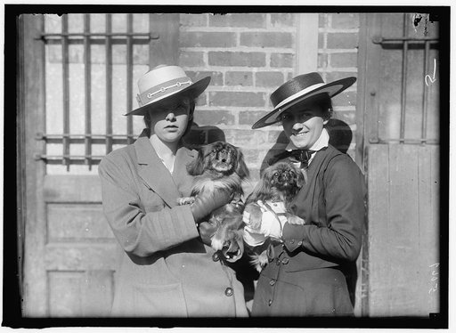 LITTANER, MISS CATHERINE L. DOG SHOW